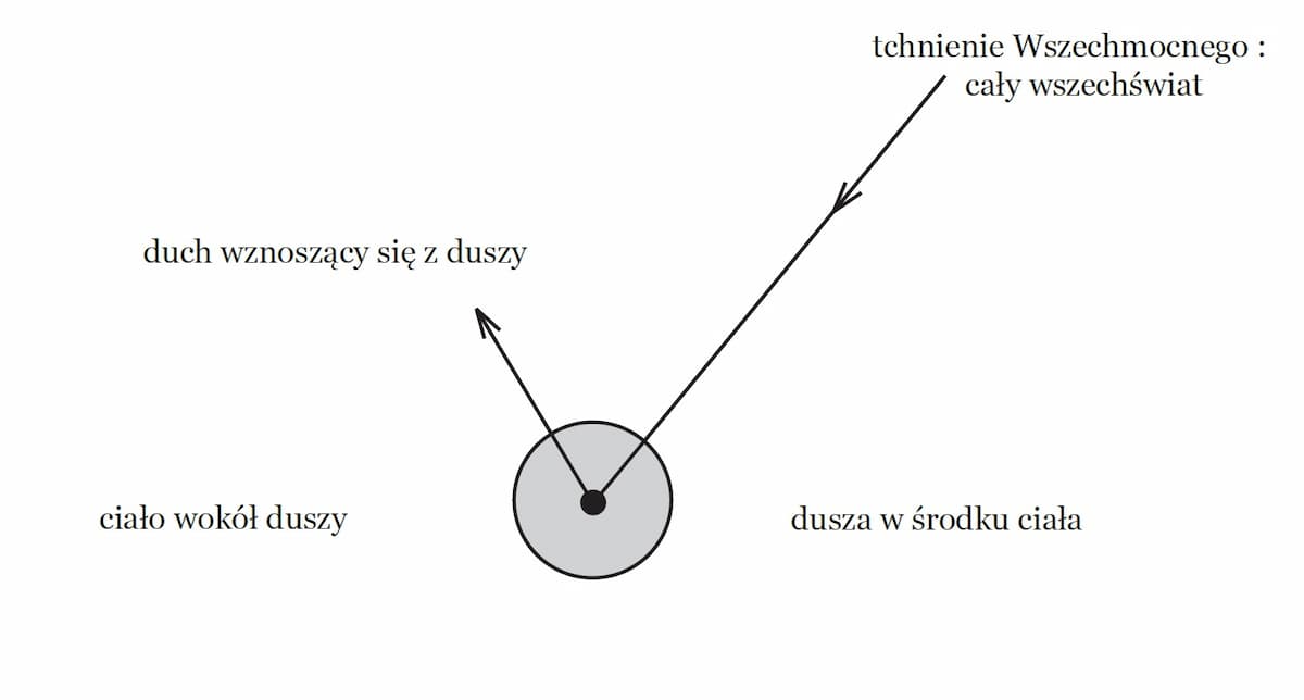 Aspekt istoty ludzkiej