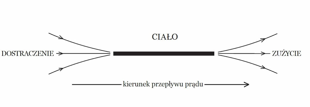 Zasada egzystencji