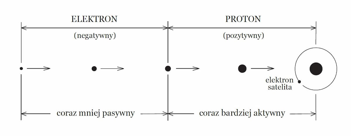 Narodziny i ewolucja cząstki